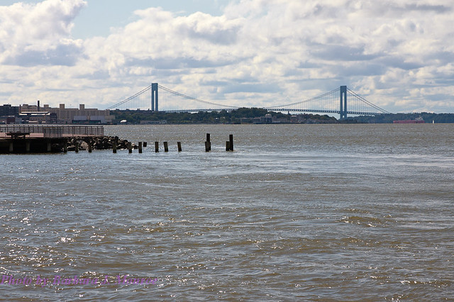 Red Hook (64 of 75)