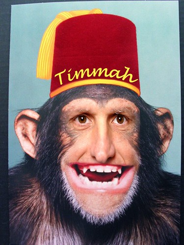 TIMMAH THE MAGIC MONKEY by Colonel Flick