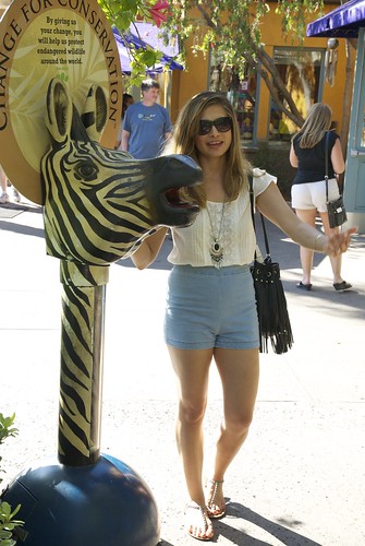 me and zebra