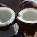 Coconuts offered too