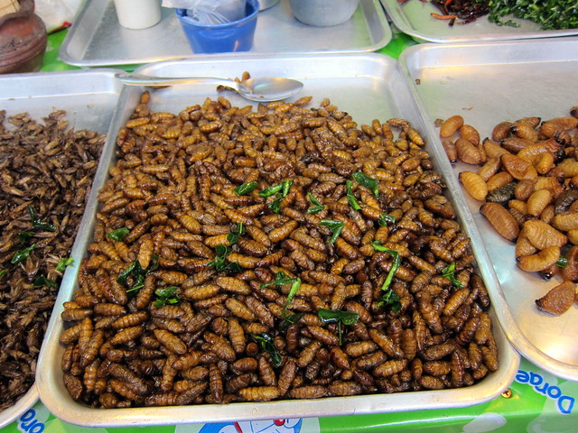 Fried Worms and Insects