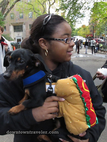 Tompkins Park Halloween Dog Parade_Dachshund hot dog