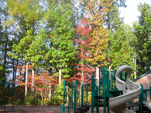 Oct 22 2011 Park in Maryland