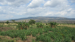 Ethiopia-2861