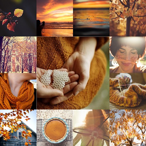 tilt ~late autumn color... pumpkin spice. by kristin~mainemomma