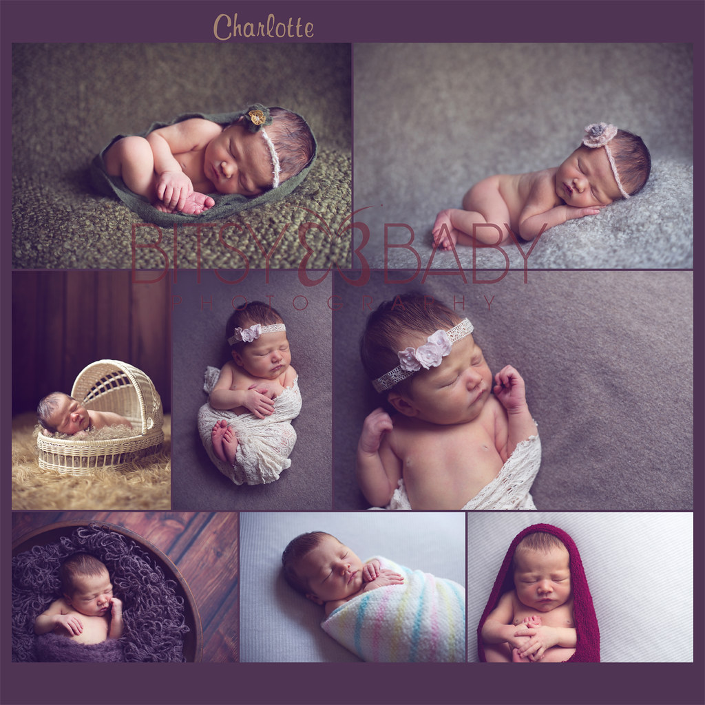 newborn photographer collage