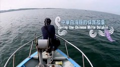 中華白海豚的保育故事預告片