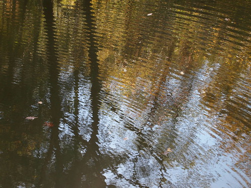 Ripples in the Eno
