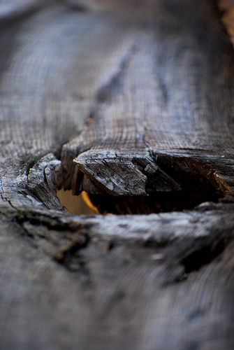 Old Wood - Knothole by Sandee4242
