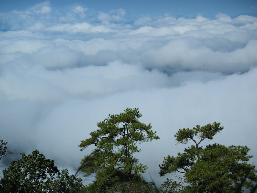Clouds &amp; Mountains. Doi Pui Mae Hong Son