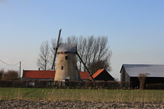 Le moulin blanc