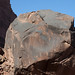 Roccia con petroglifi nel Talampaya (nell'angolo in alto a dx)