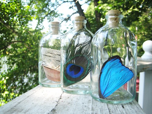 Simple Pleasures. birch bark, peacock feather, blue morpho butterfly wing by PoPkO!