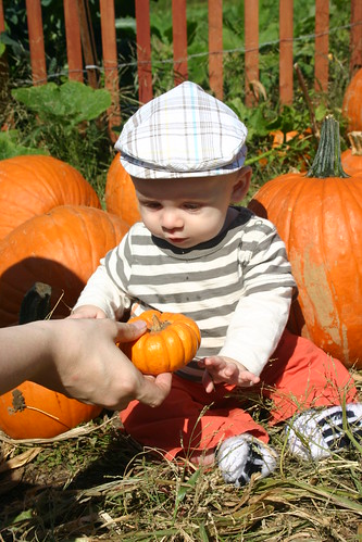 Pumpkin Patch Kid