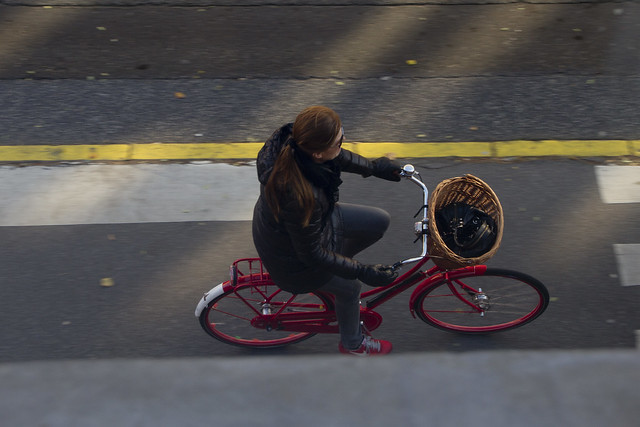Aerial Red Bicycle