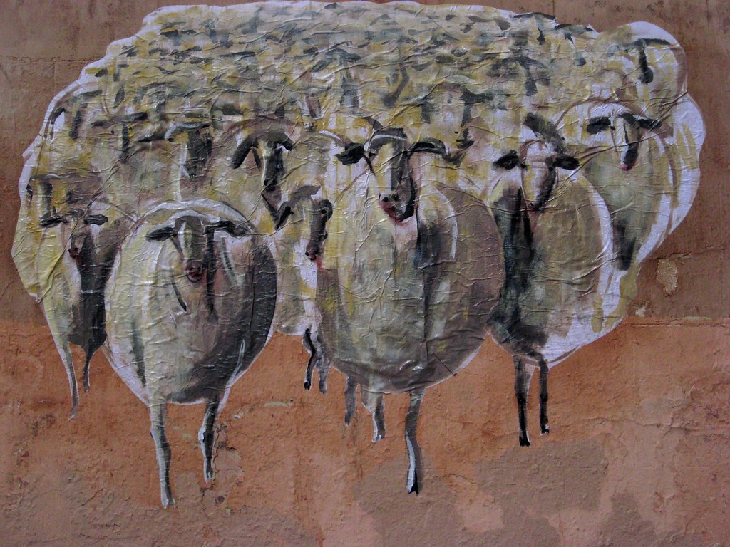 Rebaño de ovejas descarriadas