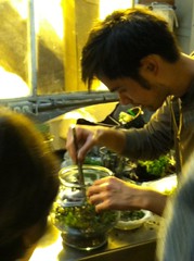 Terri planting a terrarium