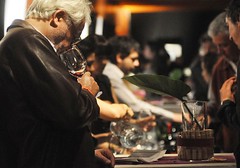 Patagonia: Los vinos que se deben beber