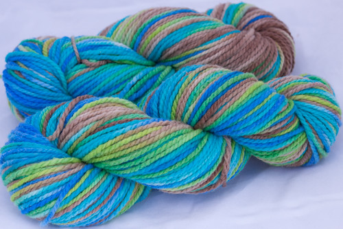 Good Earth on Vision Worsted, Bulky BBR,  Neverending Sock (...a time to dye)