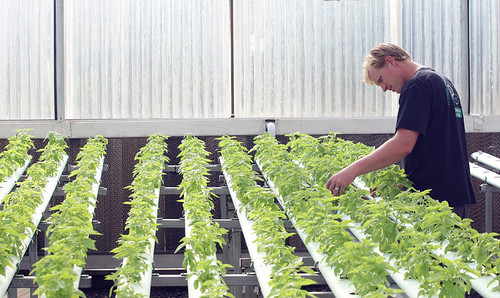 Colin Archipley in the greenhouse (by: Robert Benson via Military Times Edge)