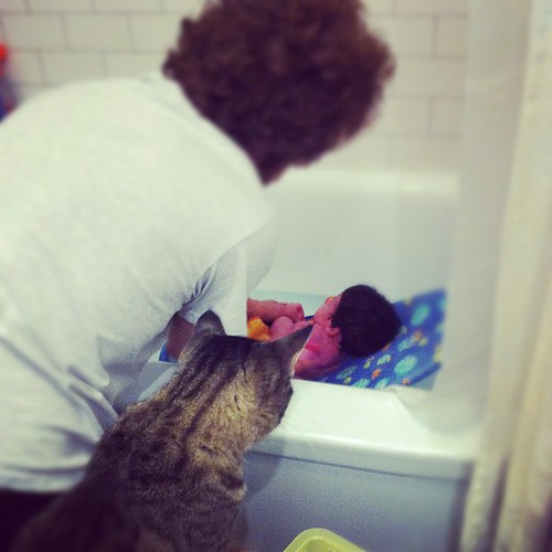 The cat & the baby bath.