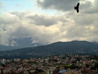 Kathmandu , the city of Eagle
