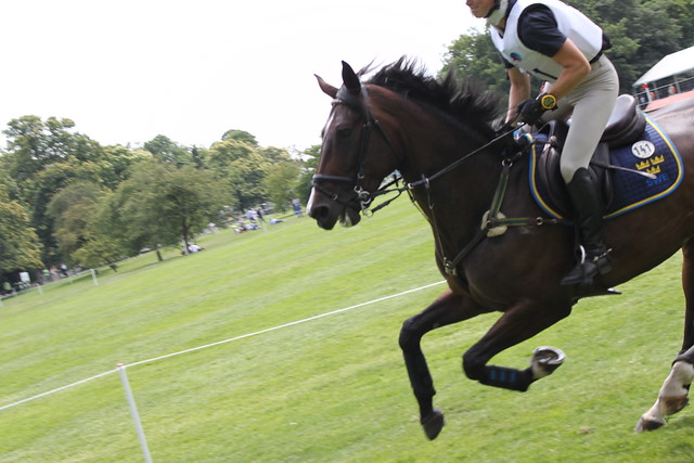 Greenwich Park Eventing Invitational - Cross Country