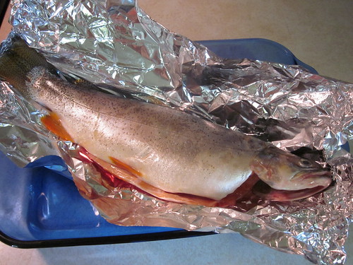 Rainbow trout ready for prep