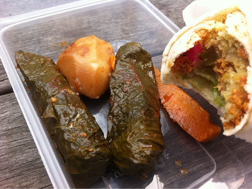 kebab and dolmades from the falafal house