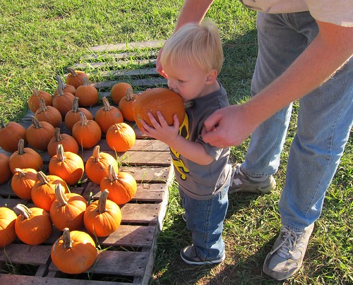 A boy and his pumpkin