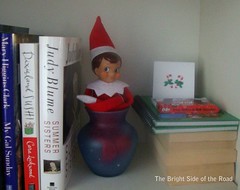 Elf on a Shelf, in a Vase