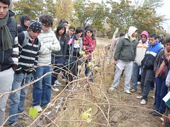 Centro de desarrollo vitícola Media Agua: Integran a jóvenes vitivinícolas
