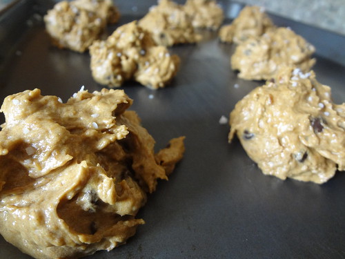 2011.10_pumpkin molasses chocolate chip cookie dough