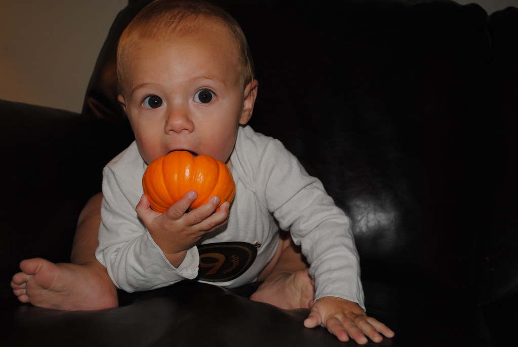 eating pumpkin