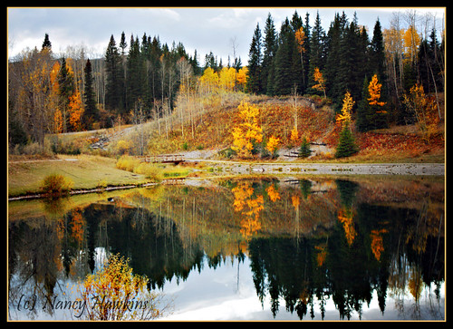 Reflections of the Fall by Nancy Hawkins