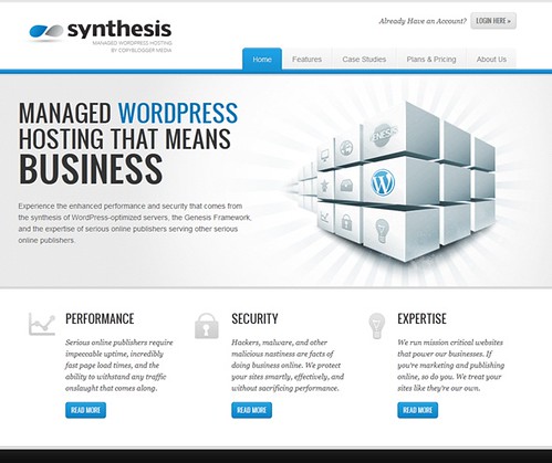 Synthesis WordPress Hosting