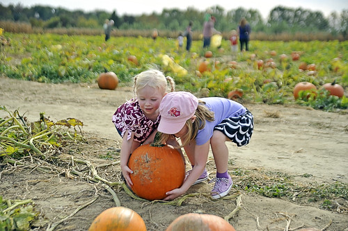 049 Mckenzie and Abby pumpkin picking