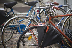 The Bicycles of Ferrara (2)