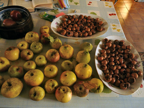 Fruit from La Tache