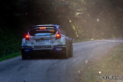 Ford Fiesta WRC Rally de France 