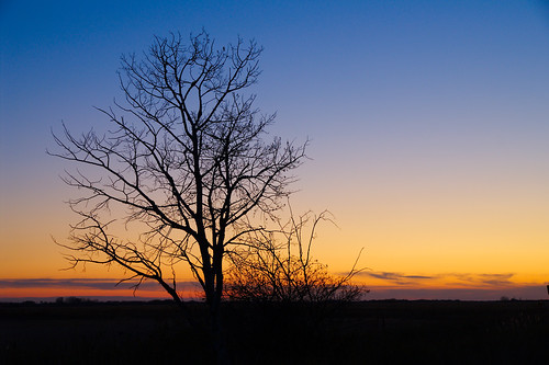 Prairie fall sunset
