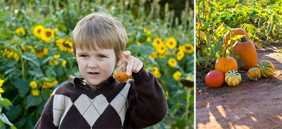 Storyboard 3 Best child family photographer in charlotte huntersville Concord Kannapolis pumpkin patch photography