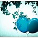 44-52-2011: Bursting Balloons
