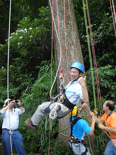 環保署長沈世宏的攀樹初體驗。