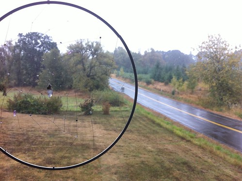 DreamCatcher overlooking the first full day of rain in Corvallis