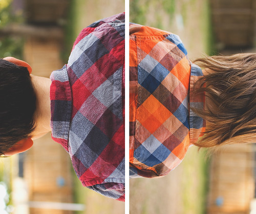 diptych: plaid brothers