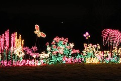 Garden d'Lights | Bellevue.com