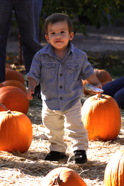 jc in pumpkin patch looking at camera