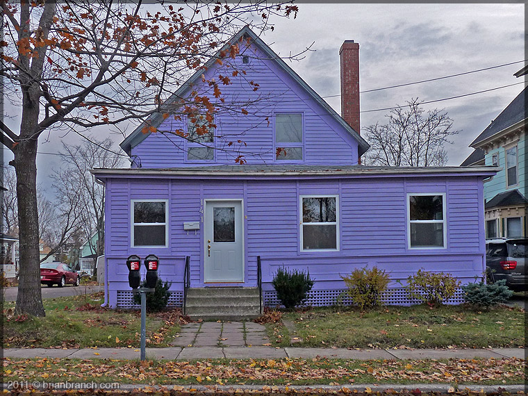 P1190830_purple_house