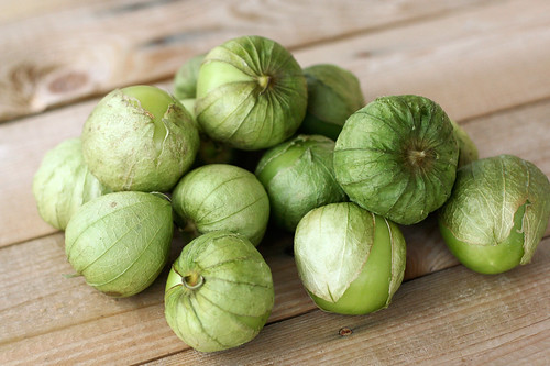 Beautiful and fresh tomatillos for the Butternut Squash Enchiladas with Tomatillo Sauce